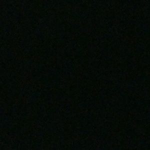 Meet your Posher, Daryl